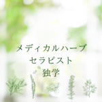【独学でも取得できる？】メディカルハーブセラピスト資格のリアルと近道とは？